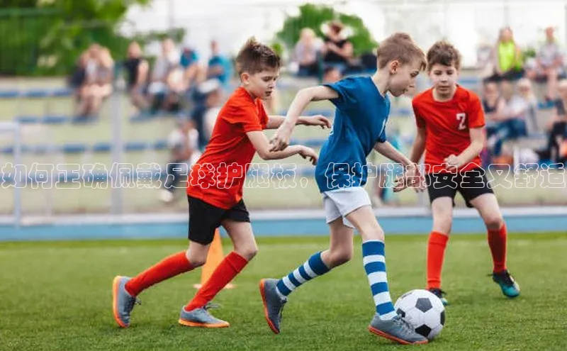 门徒登录入口挪威主权基金如何正确佩戴足球护腿板，保护腿部安全又舒适