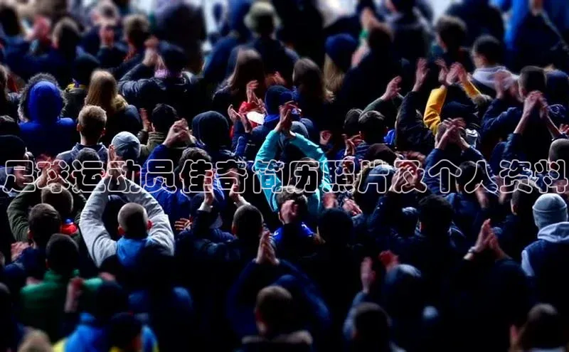 门徒娱乐百度翻译App足球运动员佳奇简历照片及个人资料