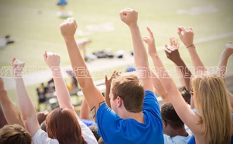 门徒登陆入口百度网盘企业版烟台现役足球运动员：都有谁在哪里踢球？