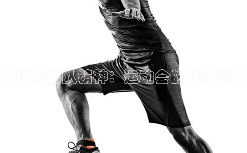 竞技与团队精神：运动会的精彩赛事