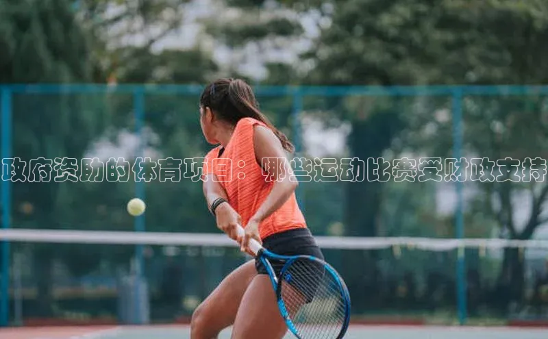 政府资助的体育项目：哪些运动比赛受财政支持