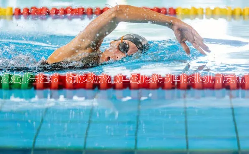 泳动盛宴：精选游泳运动赛事画报图片赏析