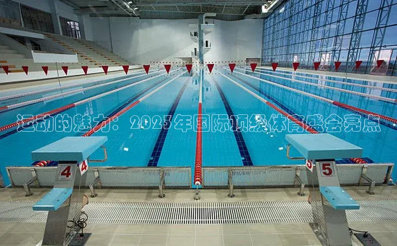 运动的魅力：2023年国际顶级体育盛会亮点