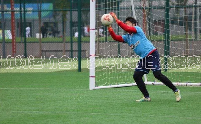 动物运动会：多样化的自然竞赛