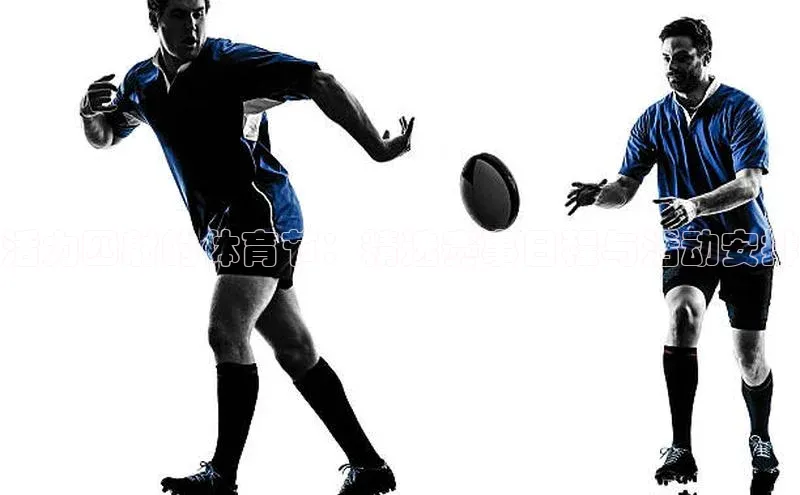 活力四射的体育节：精选赛事日程与活动安排