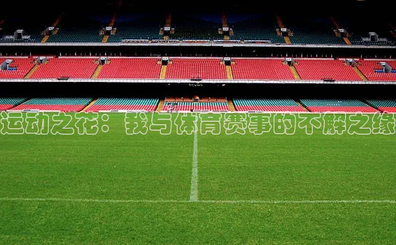 运动之花：我与体育赛事的不解之缘