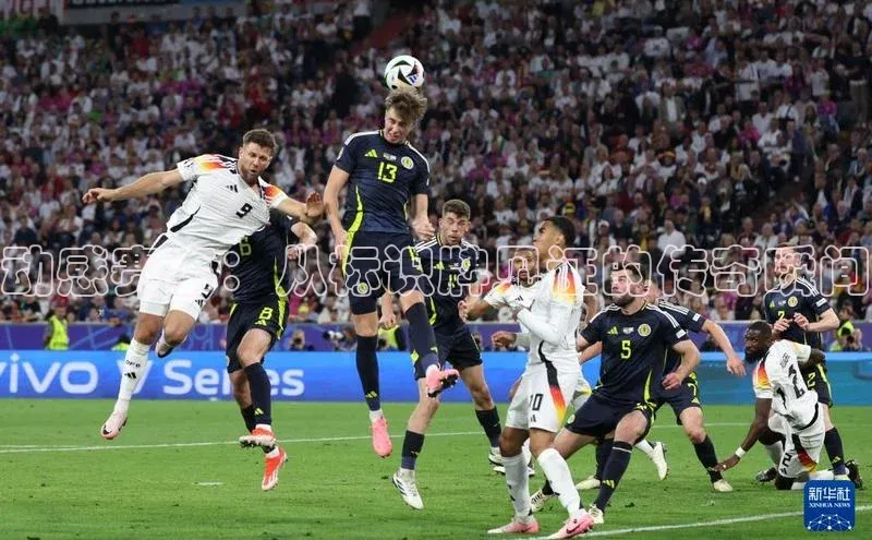 动感赛事：从标识牌见证的传奇瞬间