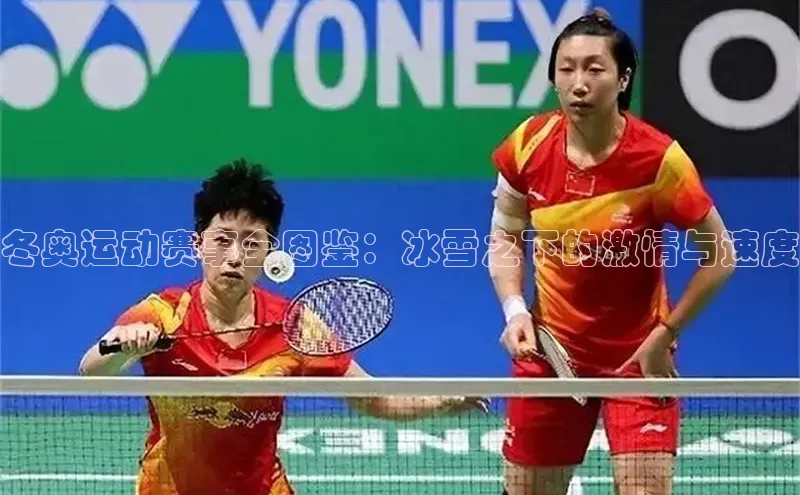 冬奥运动赛事全图鉴：冰雪之下的激情与速度