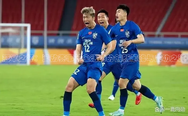 冠军之杯：运动赛事筹金活动的创新策略与成功之道