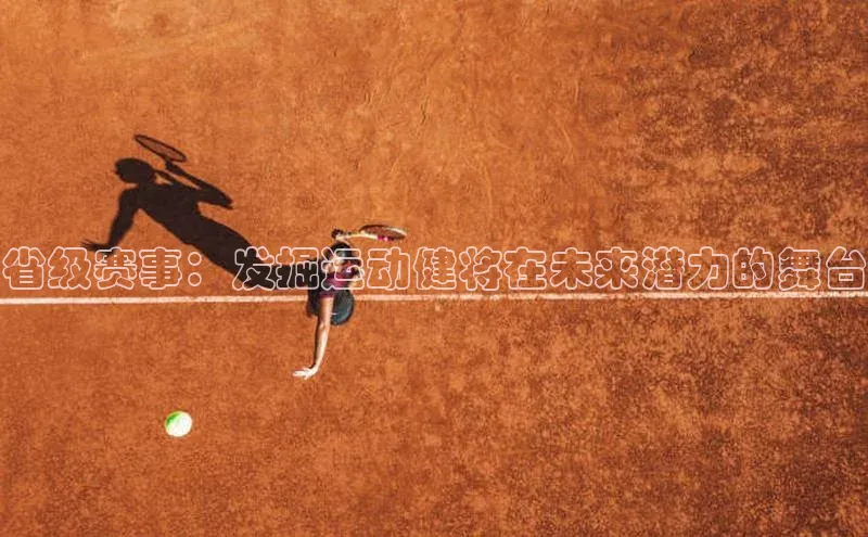 省级赛事：发掘运动健将在未来潜力的舞台