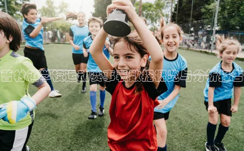 曹村镇学校运动赛事表数据概览与分析报告